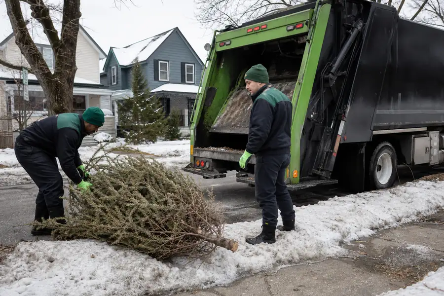 Green-accented junk removal truck with uniformed two-person crew, dried Christmas tree at the curb on a snowy street
