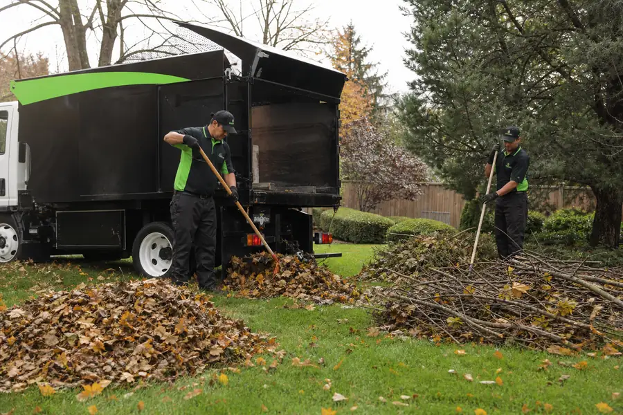 Green-accented junk removal truck with uniformed two-person crew, raked leaf piles and branch bundles on a lawn in autumn